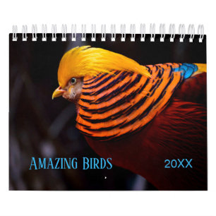 Verbluffende BIRDS-fotografie Kalender