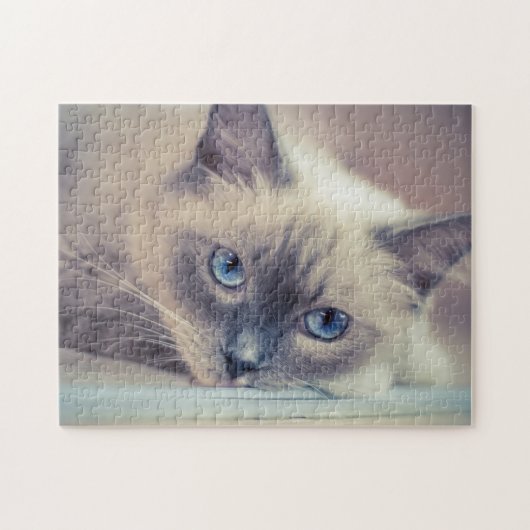 Verbluffende Blue Eyed Ragdoll Legpuzzel (Horizontaal)