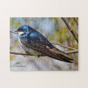 Verbluffende boomzwaluw-zongvogel op een tak legpuzzel