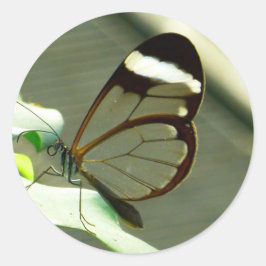 Verbluffende bruine en doorschijnende vlinder ronde sticker