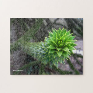 Verbluffende Chileense Pine Monkey Puzzle Tree Legpuzzel