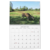 Verbluffende dieren 2013 kalender (Jan 2027)
