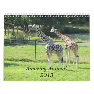 Verbluffende dieren 2013 kalender