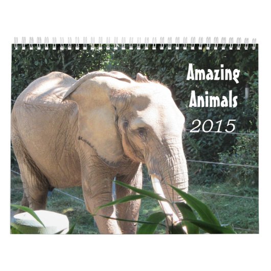 Verbluffende dieren 2015 kalender (Hoes)