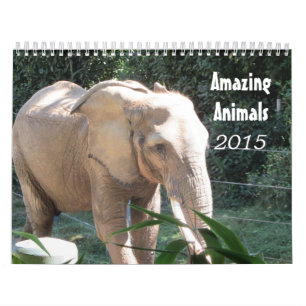Verbluffende dieren 2015 kalender