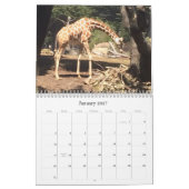 Verbluffende dieren kalender (Jan 2027)