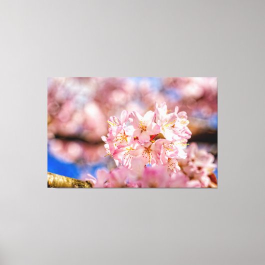 Verbluffende en ongelofelijke roze Sakura-bloemen Canvas Afdruk