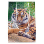 Verbluffende foto van tijger medium cadeauzakje (Achterkant)