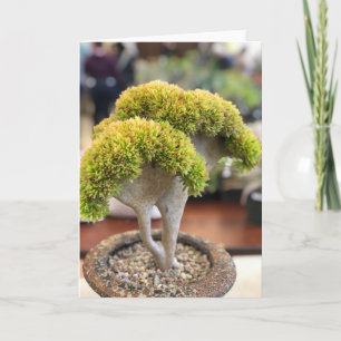 Verbluffende gele kerkbekerselaar Succulent Card Kaart