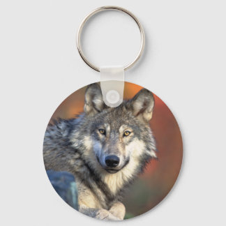 Verbluffende grijze wolf sleutelhanger