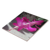 Verbluffende kerstcactus tegeltje (Zijkant)