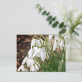 Verbluffende lentesnowdruppels briefkaart (Staand voorkant)