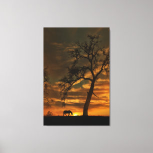 Verbluffende muur-kunst op het schilderij van Paar Canvas Afdruk