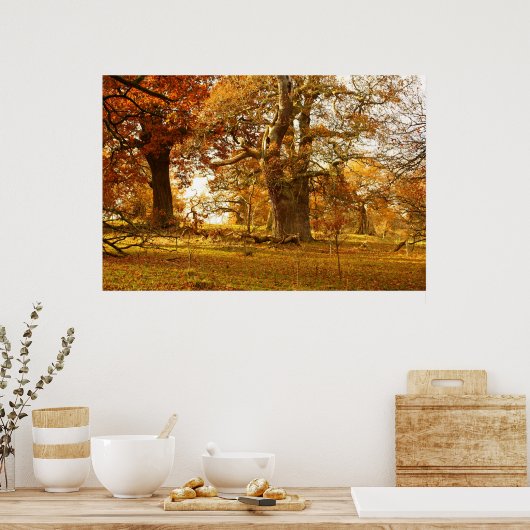 Verbluffende oude eikenbomen in Schotland Poster (Keuken)