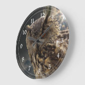 Verbluffende owl fotografie-reeks grote klok (Hoek)