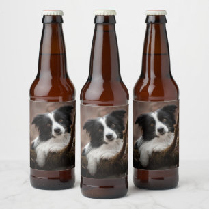 Verbluffende rand collie-portret bier etiket