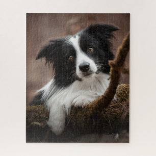 Verbluffende rand collie-portret legpuzzel
