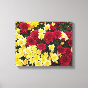 Verbluffende Red Gold Autumn Chrysanthemum Flowers Canvas Afdruk