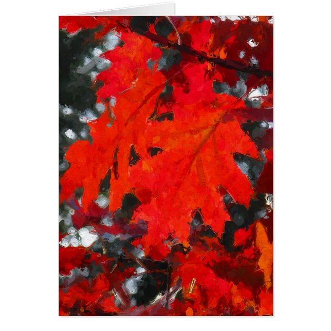 Verbluffende rode herfstbladeren (Voorkant)