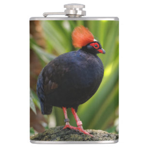 Verbluffende Rol-Roul Crested Wood Partridge Bird Heupfles