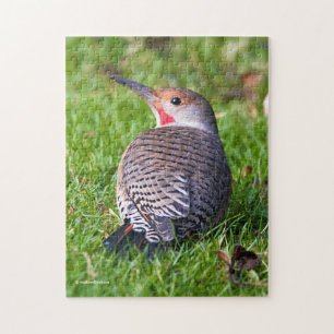 Verbluffende Rood-Shafted Northern Flicker op het  Legpuzzel