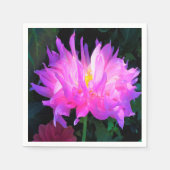 Verbluffende roze en Paarse Cactus Dahlia Servet (Voorkant)