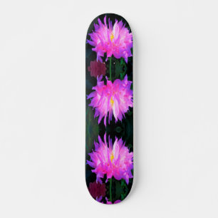 Verbluffende roze en Paarse Cactus Dahlia Skateboard
