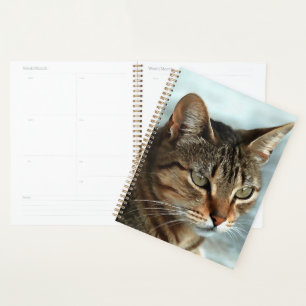 Verbluffende tabby Cat Close Artistic Portrait Planner