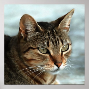 Verbluffende tabby Cat Close Artistic Portrait Poster