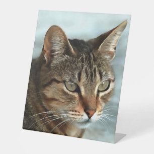 Verbluffende tabby Cat Close Artistic Portrait Reclamebord Met Voetstuk