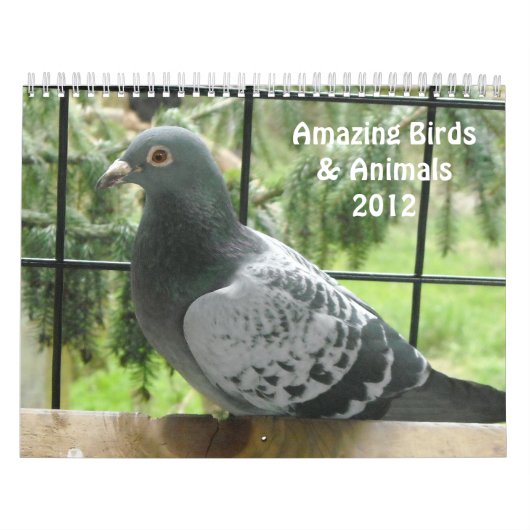 Verbluffende vogels en dieren 2012 kalender (Hoes)