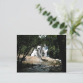 Verbluffende waterval in Zuid-Afrika Briefkaart (Staand voorkant)