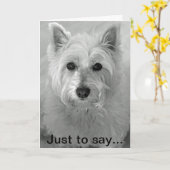 Verbluffende Westie Dog - Sorry Kaart (Gele Bloem)