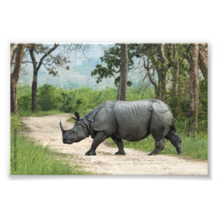 Verbluffende Wildlife Art voor uw ruimte Foto Afdruk