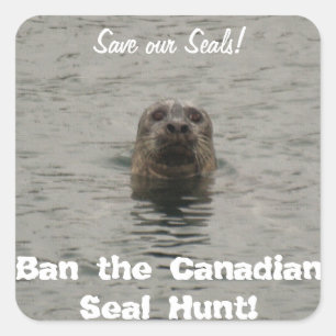 Verbod op de Canadese steun voor het vangen van wi Vierkante Sticker