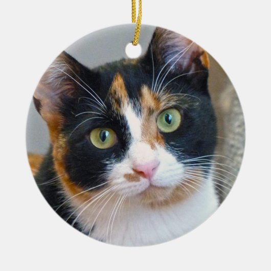 Verbod op het Calico Cat Ceramic Ornament (Voorkant)
