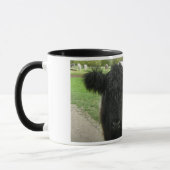 Verbonden koe in Cambridge Mok (Links)