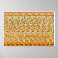Verborgen 3D Stereogram Poster - Verborgen schatte