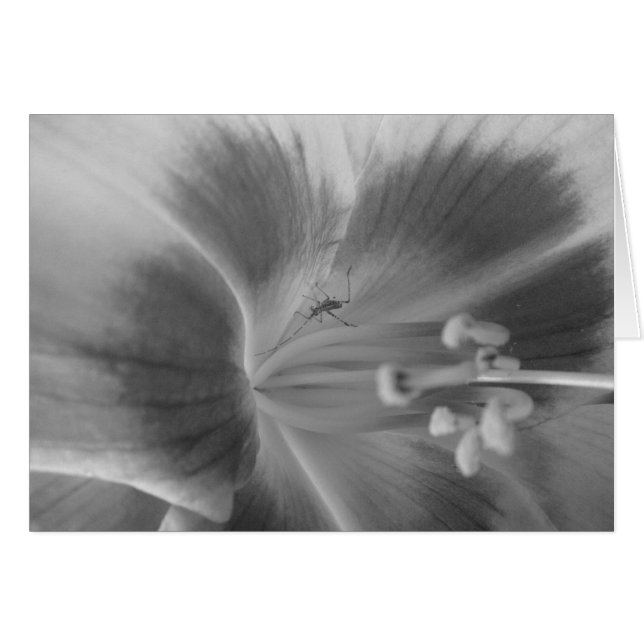 Verborgen bug-kaart (Voorkant Horizontaal)