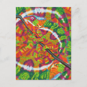 Verborgen Chameleon Briefkaart