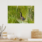 "Verborgen heron" (landschap) Poster (Keuken)