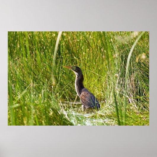 "Verborgen heron" (landschap) Poster (Voorkant)