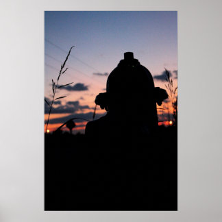 Verborgen hydraat poster