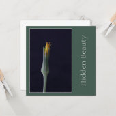 Verborgen schoonheid, elegante enkele bloem, groen kaart (Voorkant / Achterkant in situ)