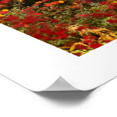 Verborgen schoonheid. poster (Hoek)