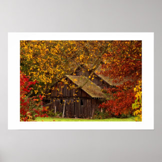 Verborgen schoonheid. poster