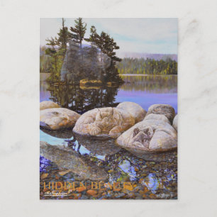 Verborgen schoonheidsverf briefkaart