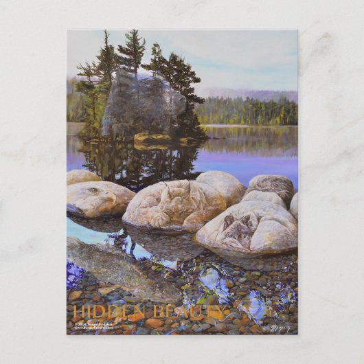 Verborgen schoonheidsverf briefkaart (Voorkant)