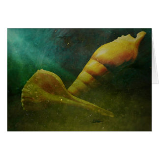 Verborgen Soul Beneath