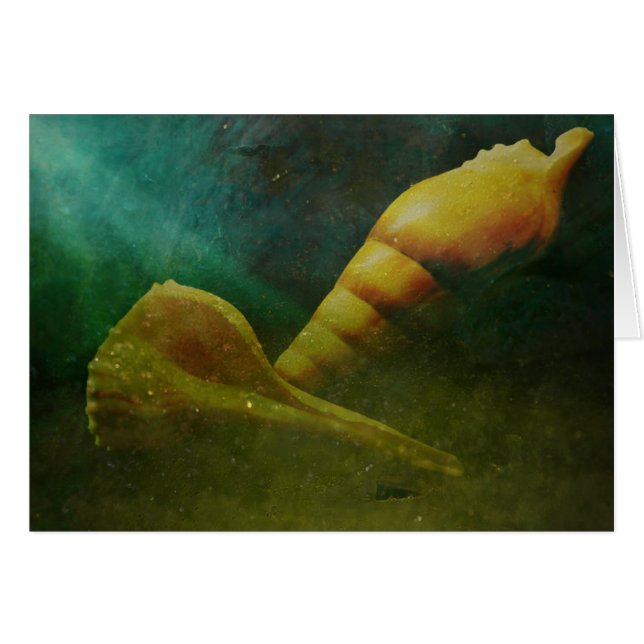 Verborgen Soul Beneath (Voorkant Horizontaal)